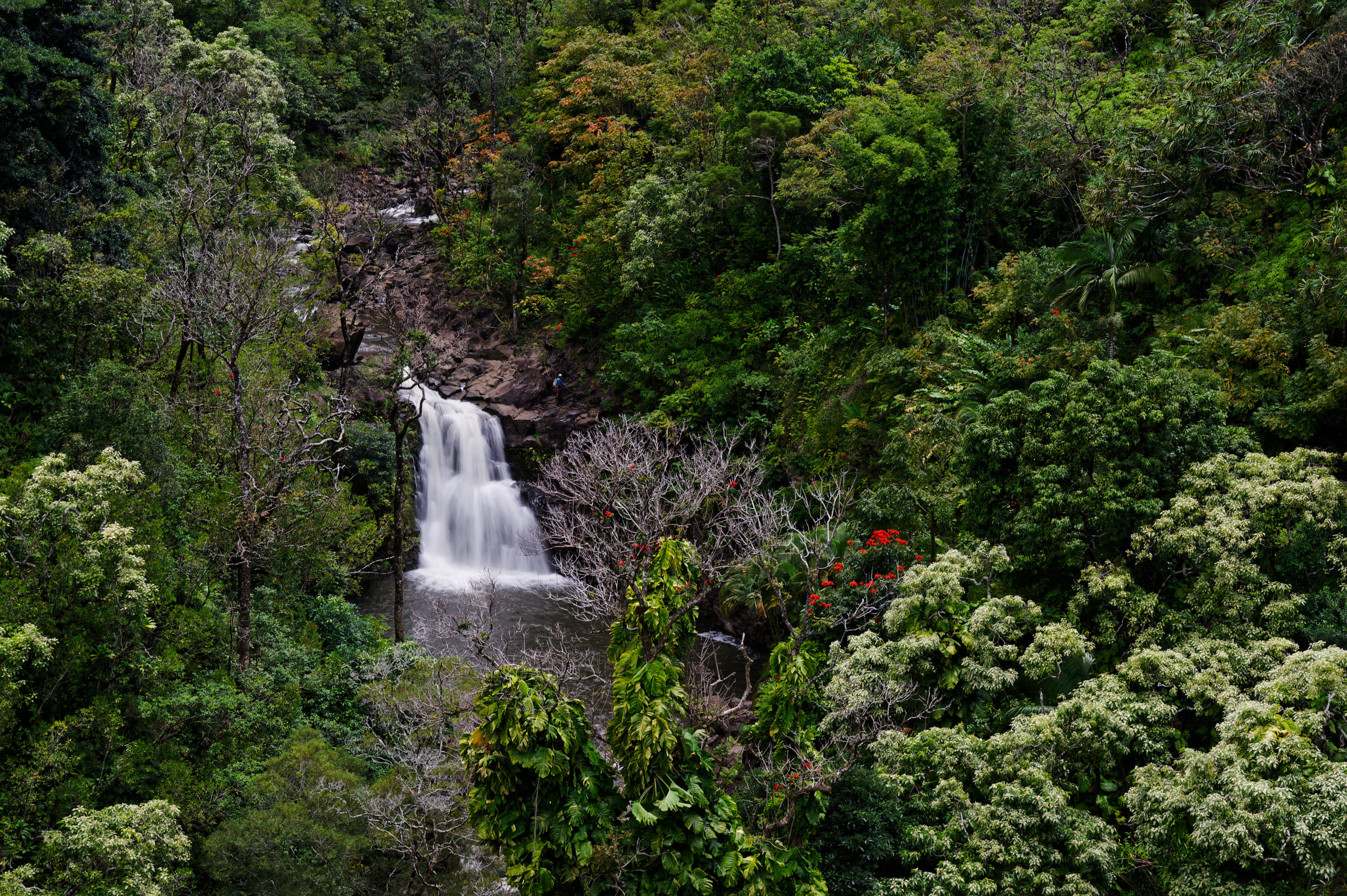 Maui